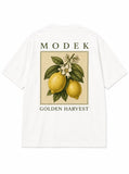 T-Shirt over Size / Regular Size GOLDEN HARVEST