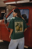 T-Shirt over Size / Regular Size GOLDEN HARVEST