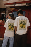 T-Shirt over Size / Regular Size GOLDEN HARVEST