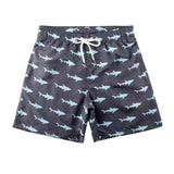 Swimming shorts shark 2